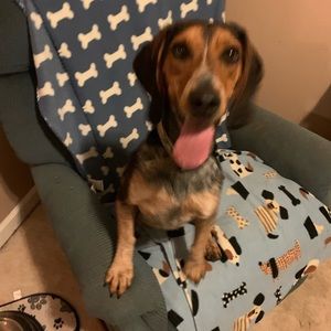 Meet your Posher, Debbie